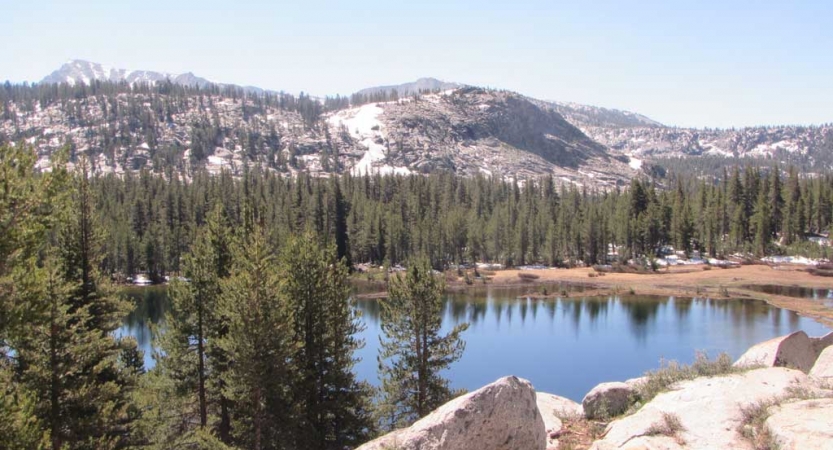 An alpine lake is framed by evergreen trees and mountains. 
